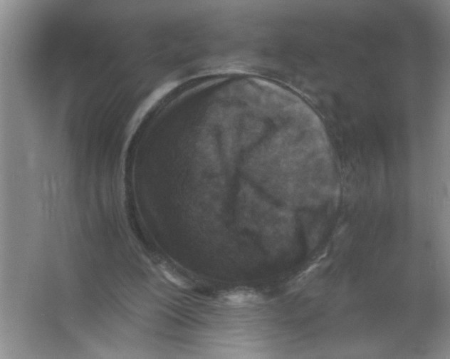 X0000063520200200602102000