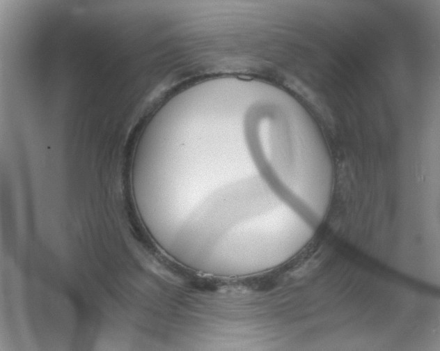 X0000063520203200602102000