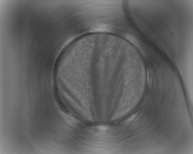 X0000063520204200602102000