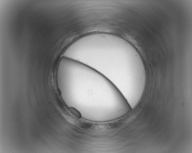 X0000063520205200602102000