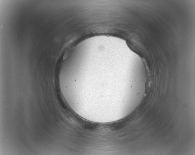 X0000063520207200602102000