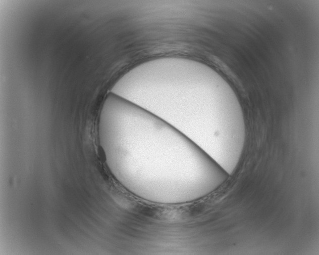 X0000063520209200602102000