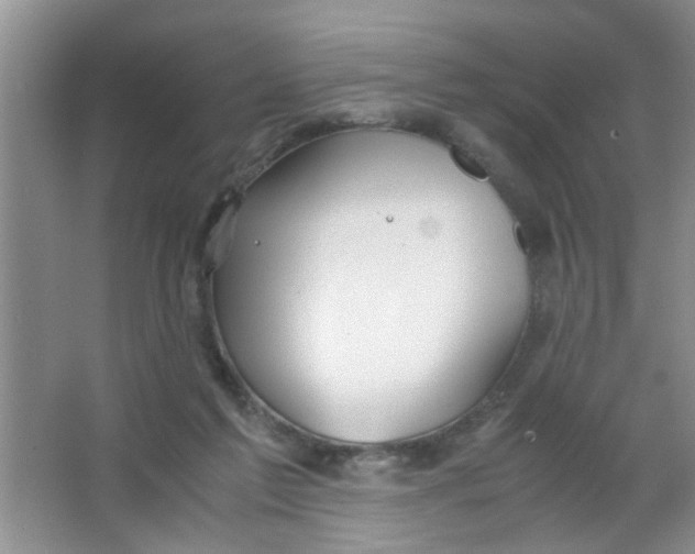 X0000063520213200602102000