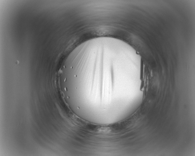 X0000063520214200602102000