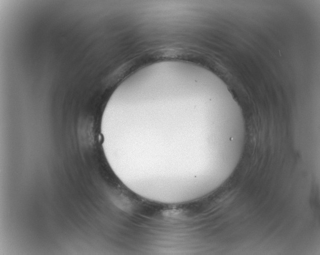 X0000063520216200602102000