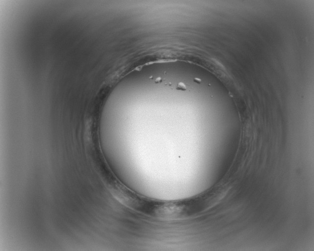 X0000063520217200602102000