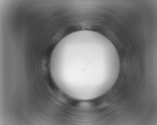 X0000063520218200602102000