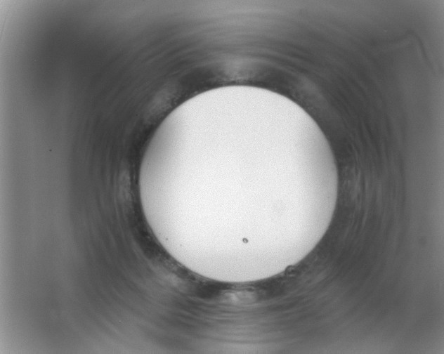 X0000063520220200602102000