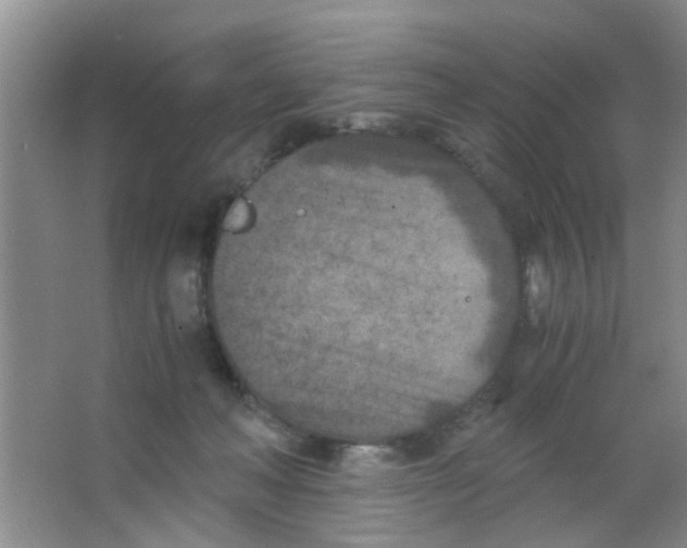 X0000063520222200602102000