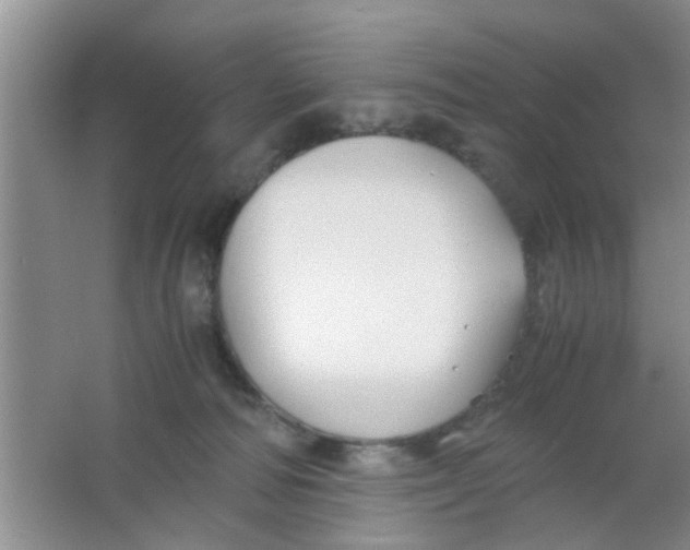 X0000063520226200602102000