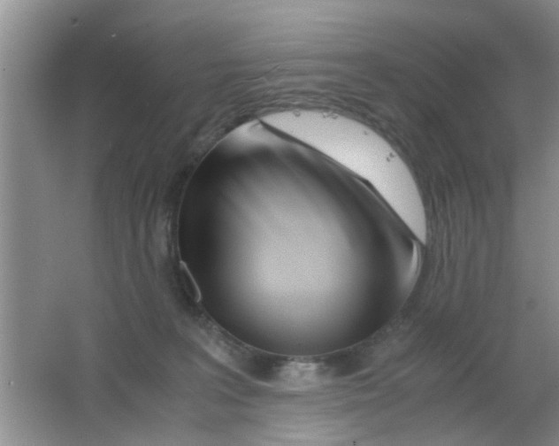 X0000063520227200602102000