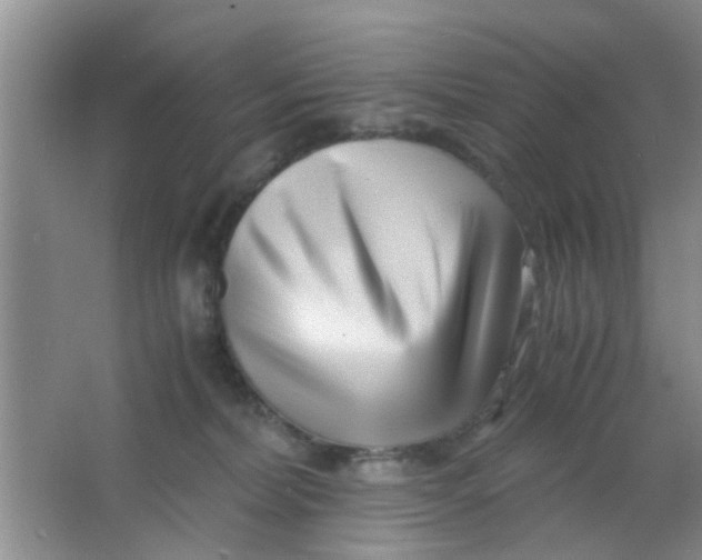 X0000063520228200602102000