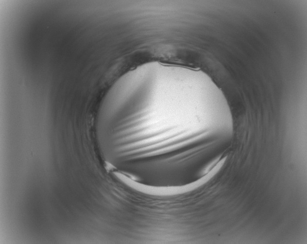 X0000063520229200602102000