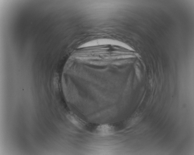 X0000063520231200602102000