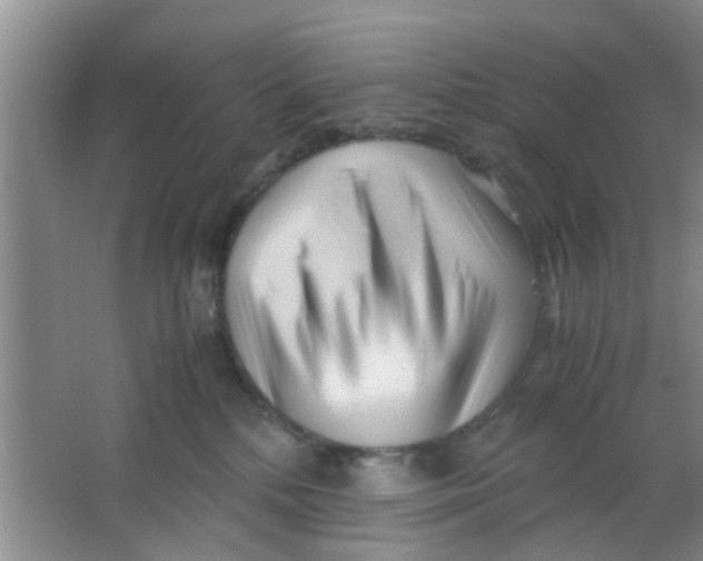 X0000063520232200602101959