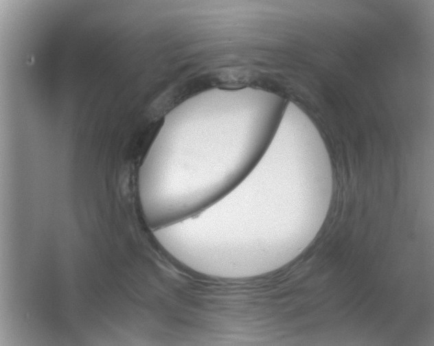 X0000063520233200602101959