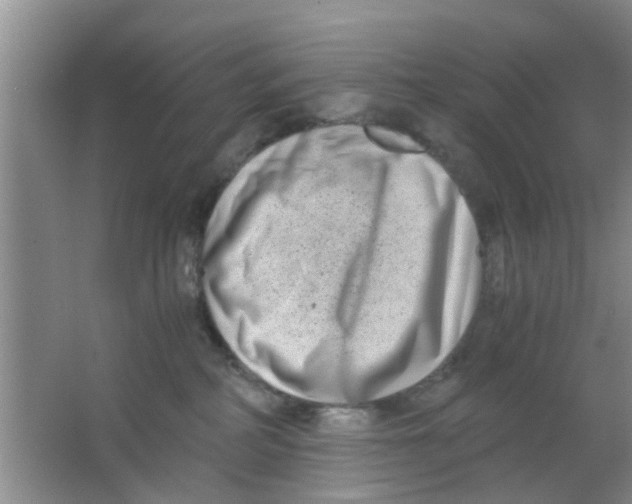 X0000063520234200602101959