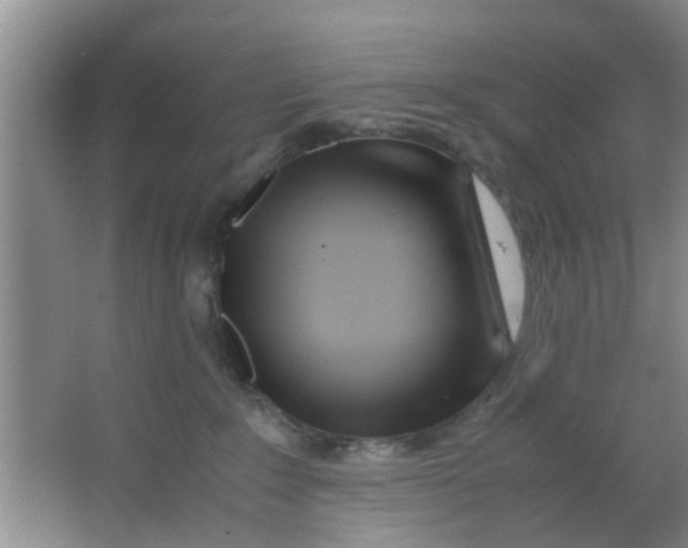 X0000063520235200602101959