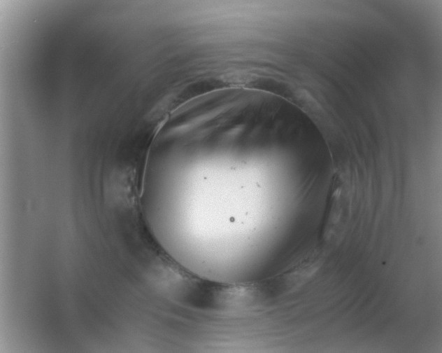 X0000063520237200602101959