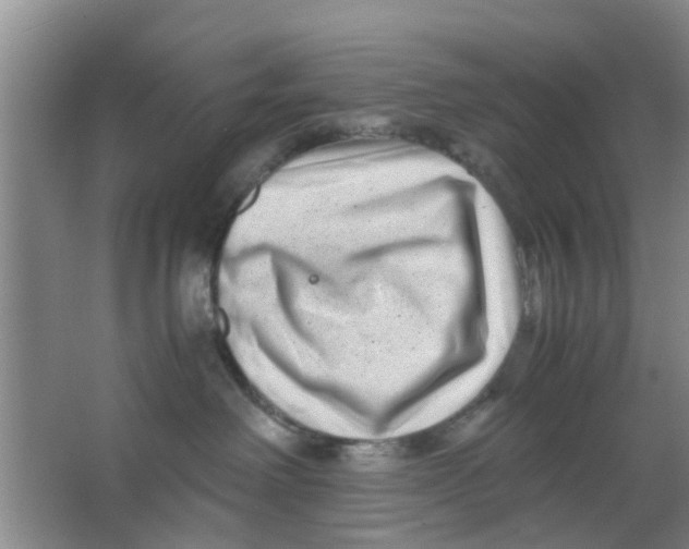 X0000063520238200602101959