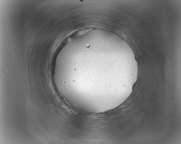 X0000063520241200602101959