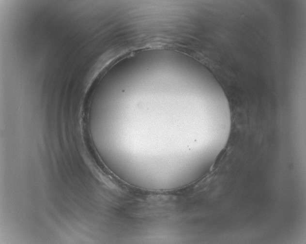 X0000063520242200602101959