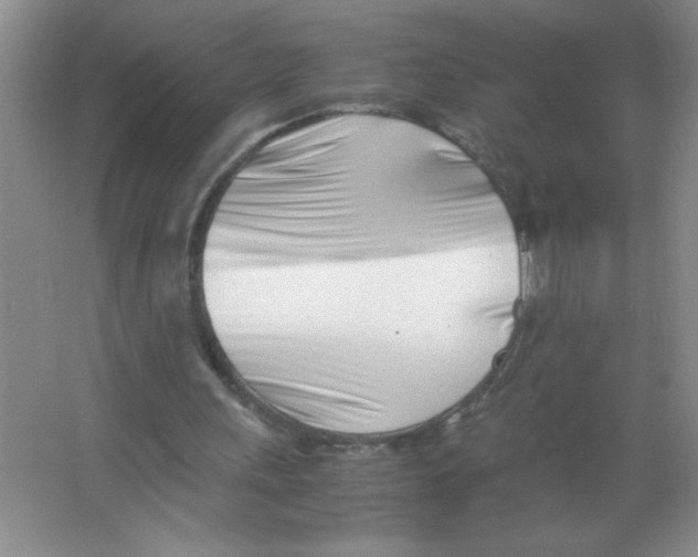 X0000063520243200602101959