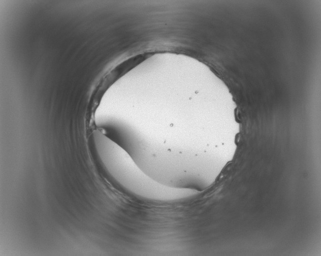 X0000063520244200602101959