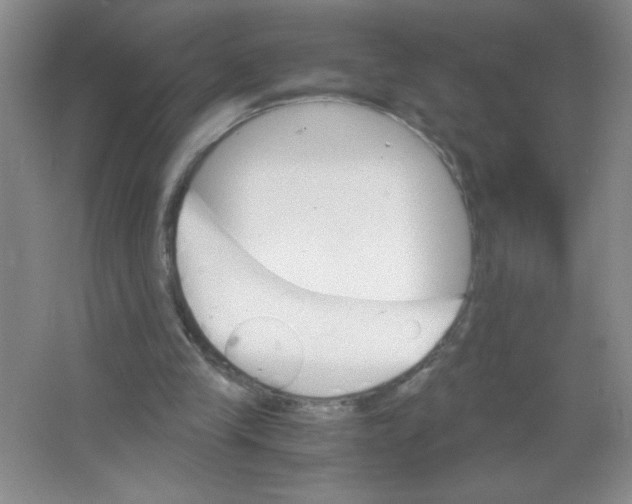 X0000063520245200602101959