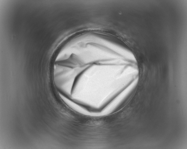 X0000063520247200602101959