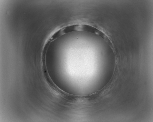 X0000063520248200602101959