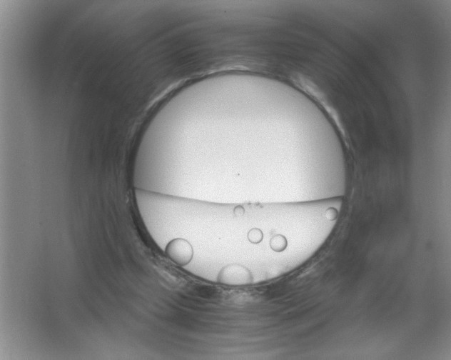 X0000063520249200602101959