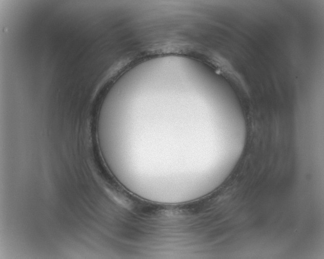 X0000063520250200602101959