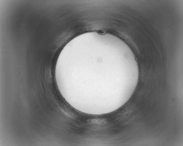 X0000063520251200602101959