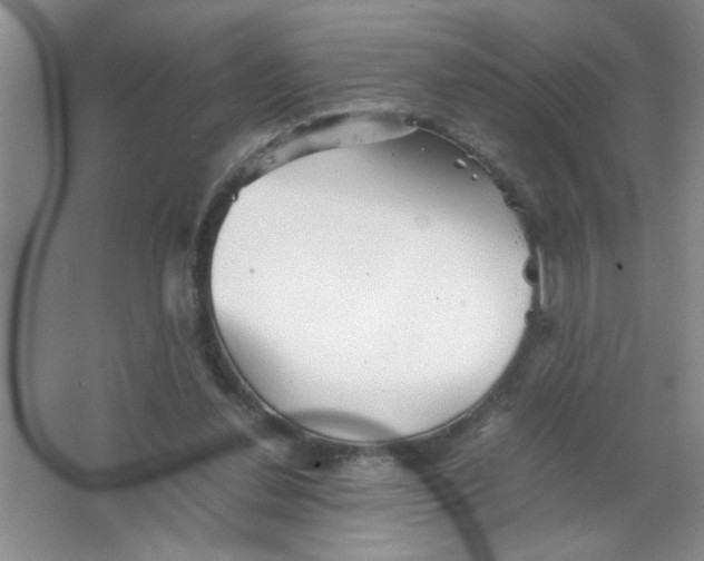 X0000063520252200602101959