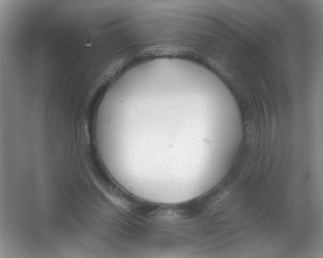 X0000063520254200602101959