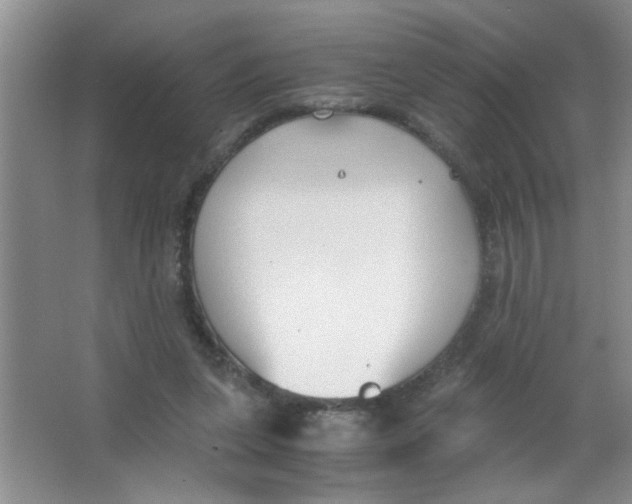 X0000063520255200602101959