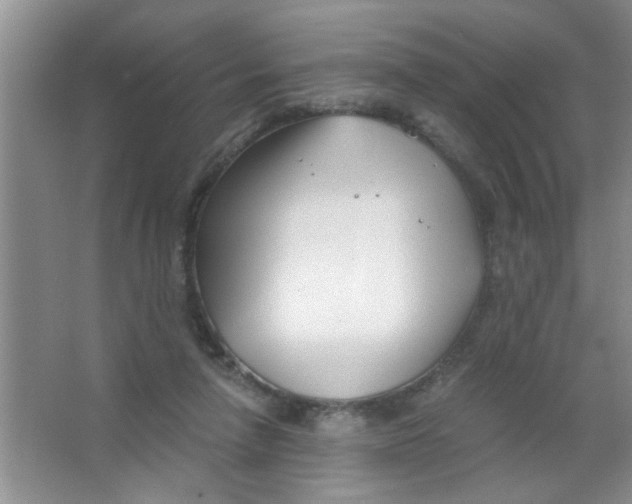 X0000063520258200602101959