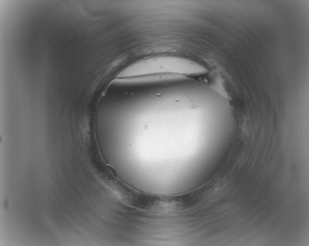 X0000063520260200602101959