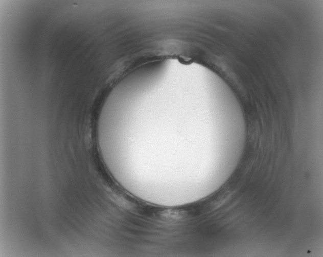 X0000063520261200602101959