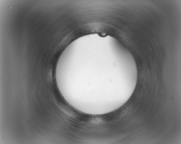 X0000063520262200602101959