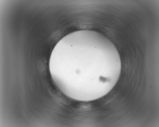 X0000063520263200602101959