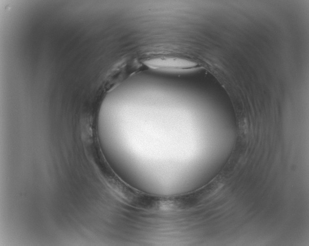 X0000063520264200602101959