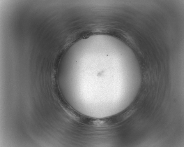 X0000063520265200602101959