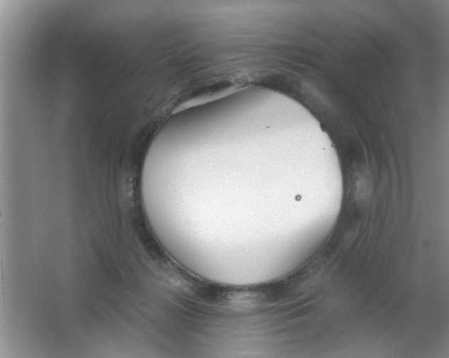 X0000063520268200602101959