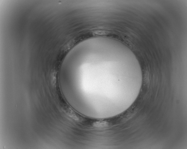 X0000063520271200602101959