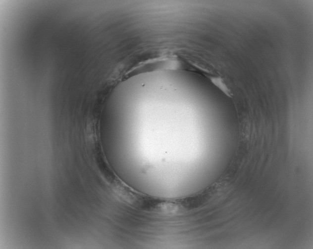 X0000063520272200602101959