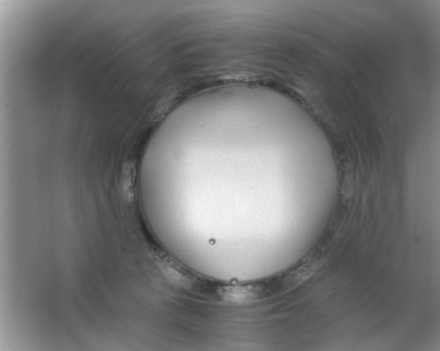 X0000063520273200602101959