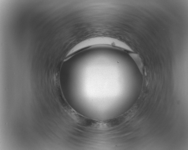 X0000063520276200602101959