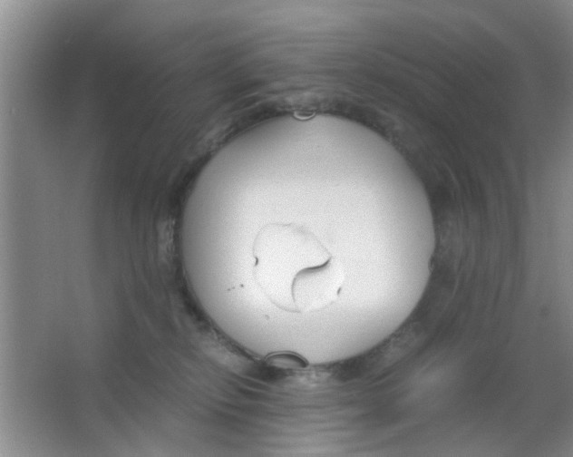 X0000063520278200602101959